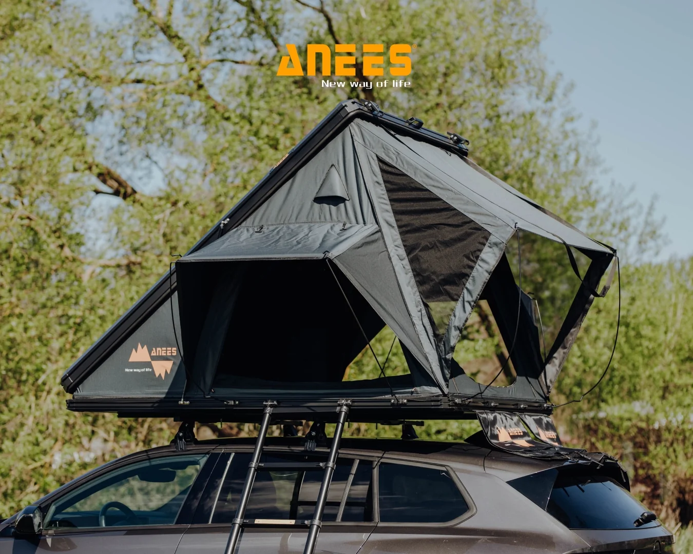 Anees – Alu Triangle 